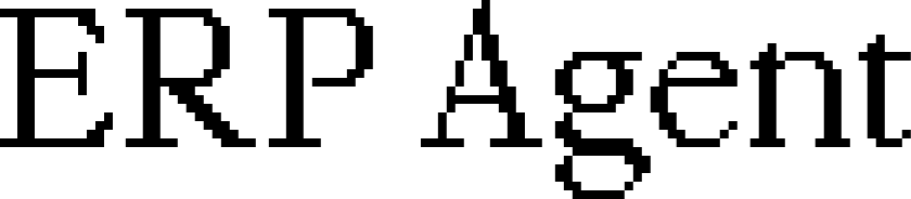 ERP Agent